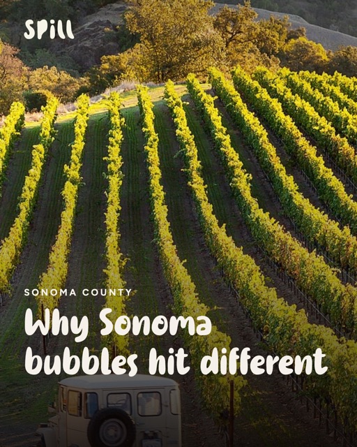 Why Sonoma bubbles hit different
